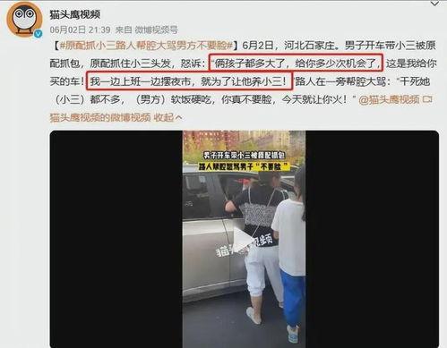 保定最新爆料事件视频,视频揭露惊人真相，事件引发社会关注